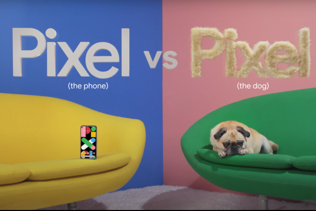 小狗对像素的热爱在最新的Google广告中大放异彩